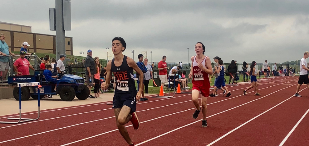 Running Lions! 